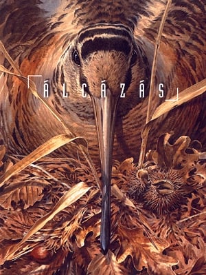 Bernard Stonehouse: Álcázás
